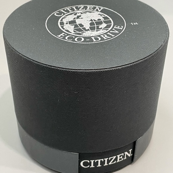 FD1030-56Y Citizen Eco-Drive Silhouette Watch - Picture 4 of 6